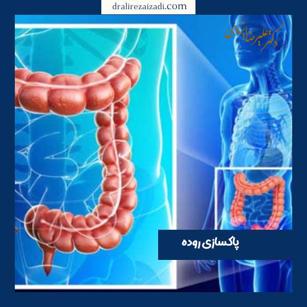 پاکسای روده